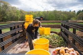 Students working with compost 在 bed of a truck